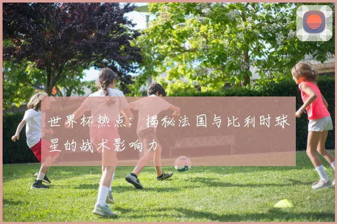 世界杯热点：揭秘法国与比利时球星的战术影响力