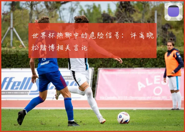 世界杯热聊中的危险信号:评高晓松赌博相关言论