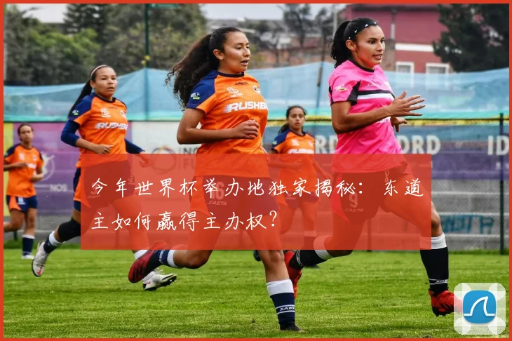 今年世界杯举办地独家揭秘：东道主如何赢得主办权？