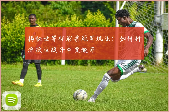 揭秘世界杯彩票冠军玩法：如何科学投注提升中奖概率