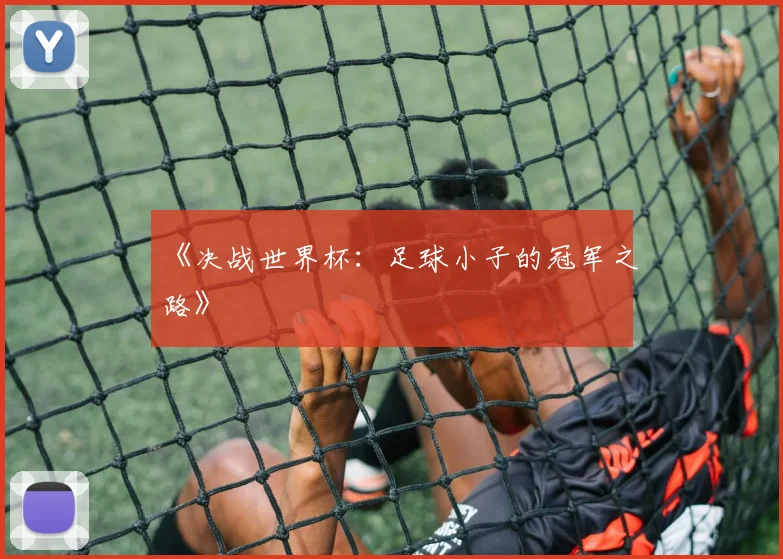 《决战世界杯:足球小子的冠军之路》