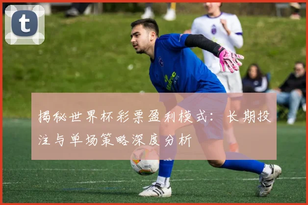 揭秘世界杯彩票盈利模式：长期投注与单场策略深度分析
