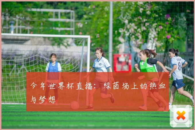 今年世界杯直播：绿茵场上的热血与梦想