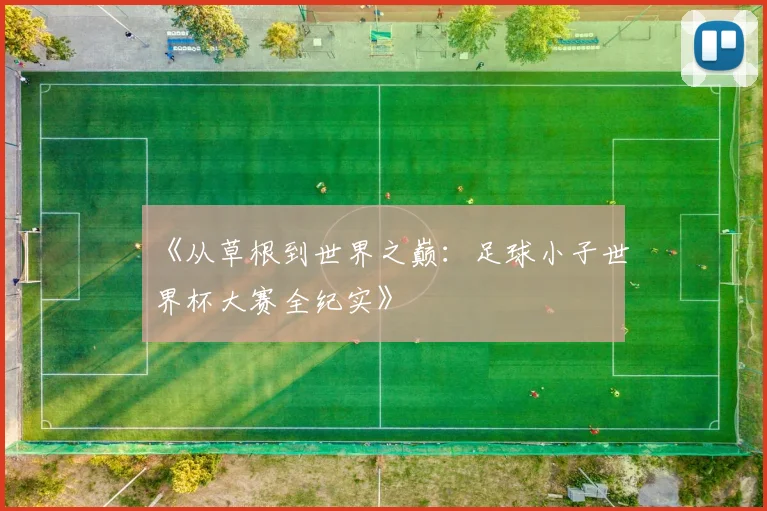 《从草根到世界之巅：足球小子世界杯大赛全纪实》